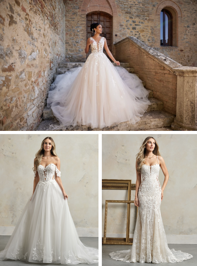 Brides of Ashby images/ASHBY_1.png